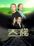 天梯(全集)