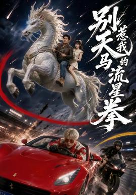 别惹我的天马流星拳(全集)